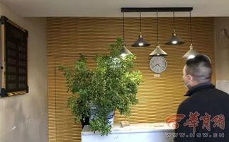 酒店前台吃瓜群众视频,揭秘酒店内部趣闻轶事