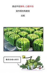 吃瓜视频判刑多久,判刑时长揭秘
