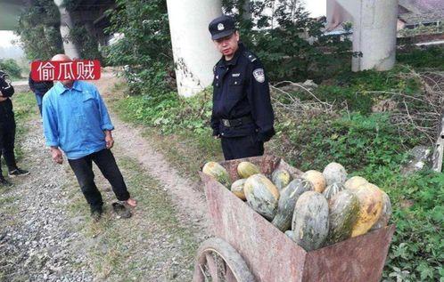 康县女子吃瓜事件视频播放,网络热议背后的真相揭秘