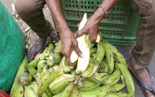 印度人吃蒲瓜视频,蒲瓜的独特风味之旅