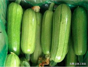 小媳妇吃西葫芦瓜的视频,小媳妇教你轻松烹饪西葫芦瓜