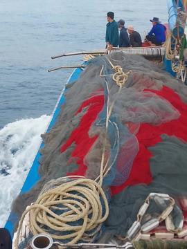 渔民出海捕鱼吃瓜视频