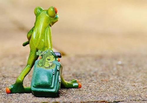 青蛙人偶吃瓜原视频,萌态十足引网友热议