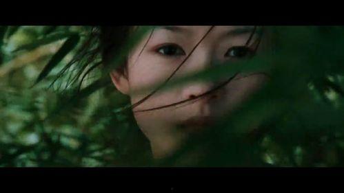 吃瓜视频免费无广告观看,免费观看吃瓜视频的独家秘籍