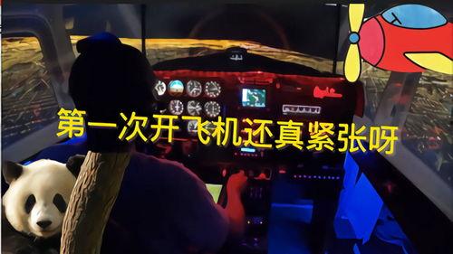 万家灯火游戏吃瓜视频在线观看,在线观看精彩瞬间