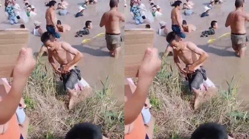 一枝鱼吃瓜群众视频,趣味互动引网友热议